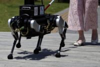 چین، ربات سگ راهنما را به یاری نابینایان می‌فرستد