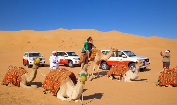 سافاری دبی فعالیت خود را از سر گرفت سافاری دبی فعالیت خود را از سر گرفت