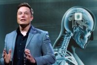 هشدار ایلان ماسک درباره آینده مشاغل با ظهور هوش مصنوعی هشدار ایلان ماسک درباره آینده مشاغل با ظهور هوش مصنوعی