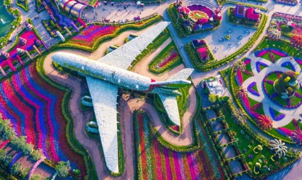 ورود رایگان به «میراکل گاردن دبی» در روز تولد ورود رایگان به «میراکل گاردن دبی» در روز تولد