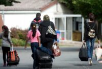 بازگشت از کانادا،شکست یا فرصت تازه؟