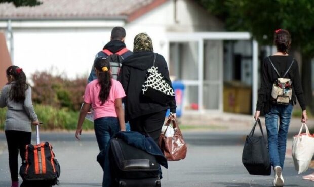 بازگشت از کانادا،شکست یا فرصت تازه؟ بازگشت از کانادا،شکست یا فرصت تازه؟