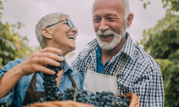 اختراع قرص افزایش طول عمر در چین اختراع قرص افزایش طول عمر در چین