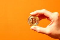 نفوذ سرمایه گذاران بر عرضه بیت‌کوین