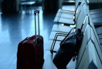 وزارت امور خارجه تأیید کرد؛بیش از ۵۰ ایرانی از آمریکا بازگشتند