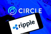 غول‌های رمزارز جهان بانک‌های امانی ملی تأسیس می‌کنند