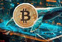 توصیه مهم به دارندگان بیت‌کوین؛اقدام به فروش نکنید