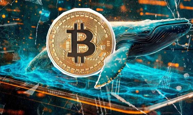 توصیه مهم به دارندگان بیت‌کوین؛اقدام به فروش نکنید